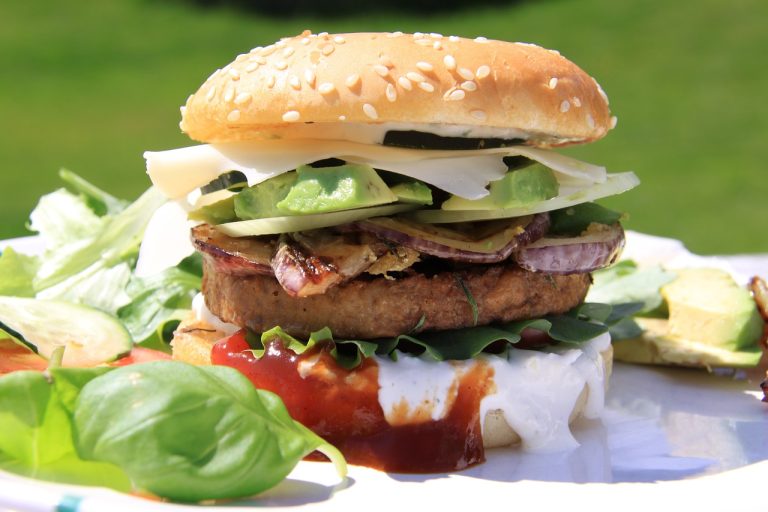 meal, burger, onion-1352880.jpg